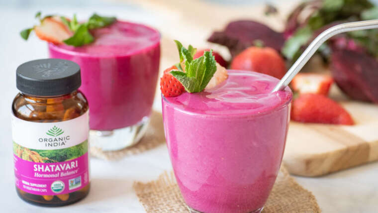 Vegan Smoothie Recipes: Refreshing and Nutritious Delights