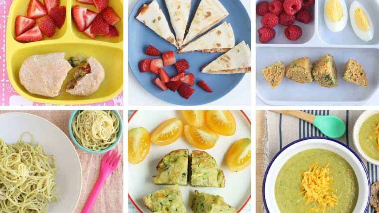 Easy Vegan Food for Kids: Nutritious and Fun Plant-Based Meals