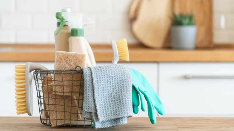 Vegan-Friendly Cleaners: Eco-Friendly, Plant-Based Alternatives for a Green Home